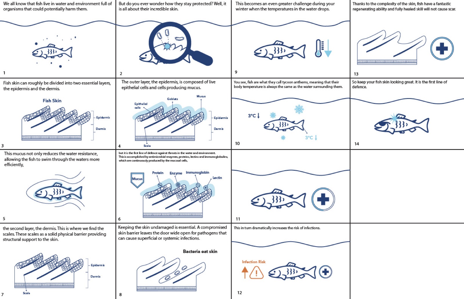 Fish Health storyboard skin