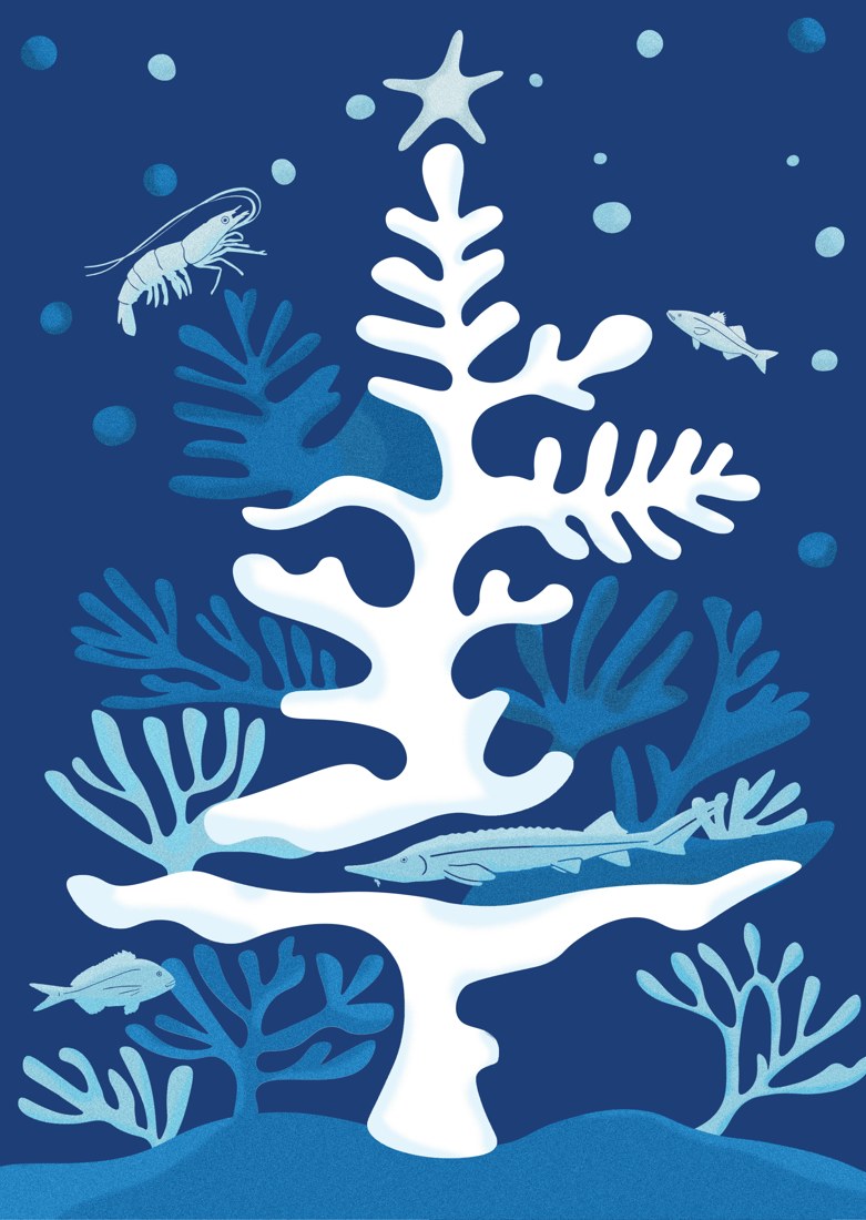 BioMar Christmas card — blue journey fish tree